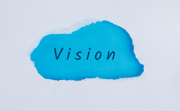 vision